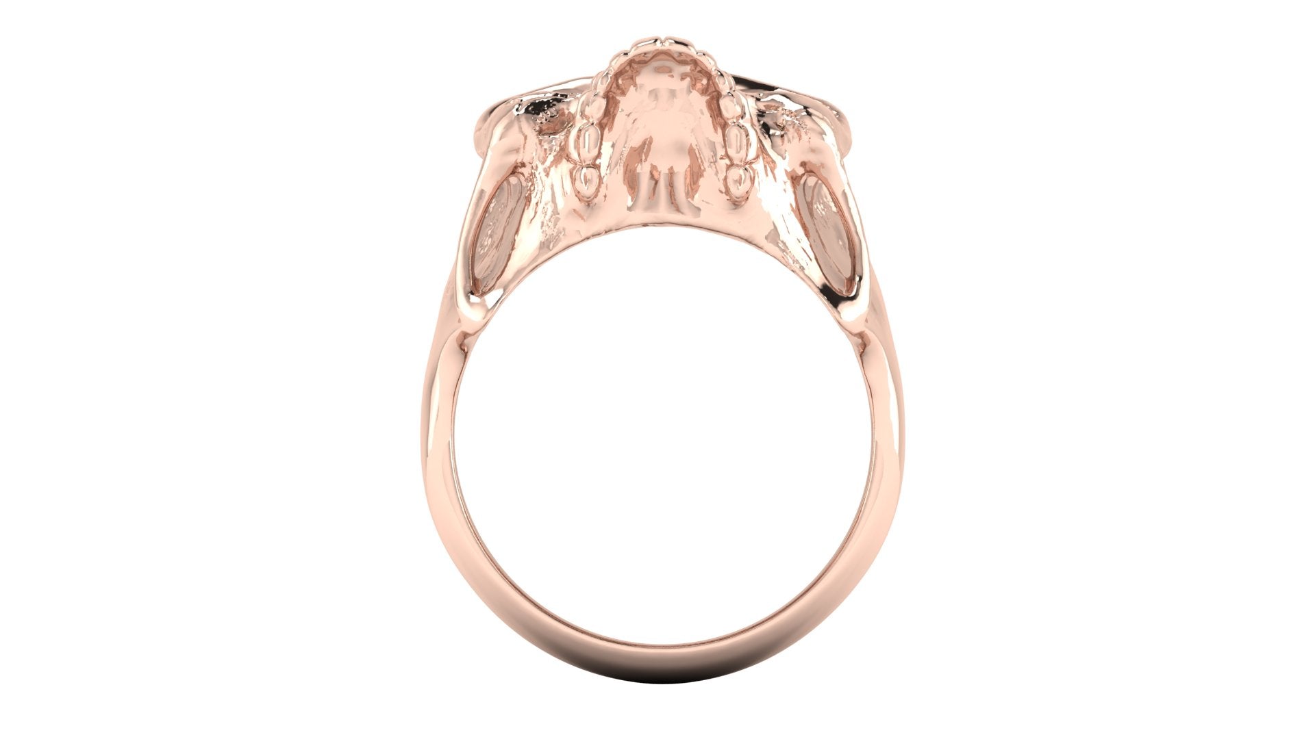 Anillo de hombre de craneo - Samuel