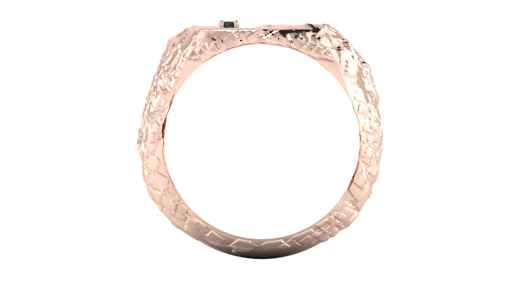 Anillo de hombre  con  diamante negro - Tomas