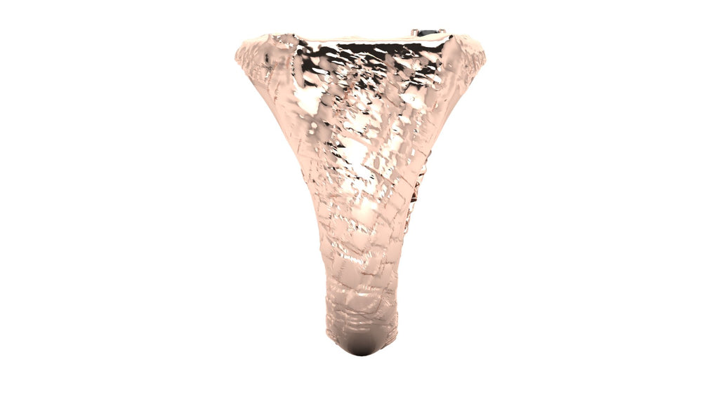 Anillo de hombre  con  diamante negro - Tomas
