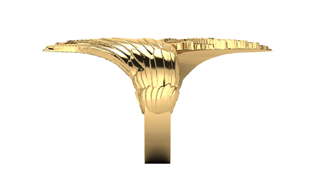 Anillo de hombre  de alas - Ignacio