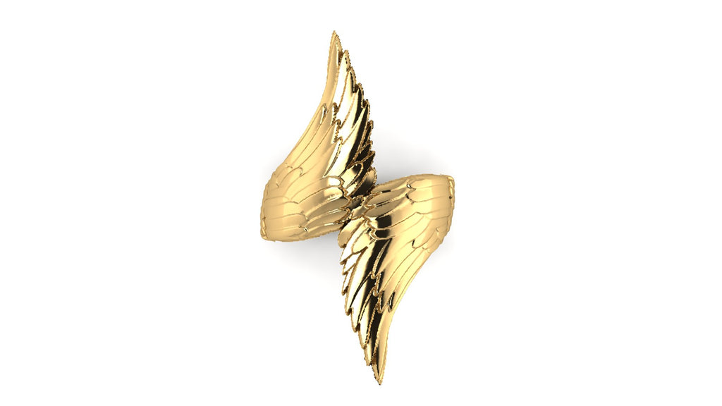 Anillo de hombre  de alas - Ignacio